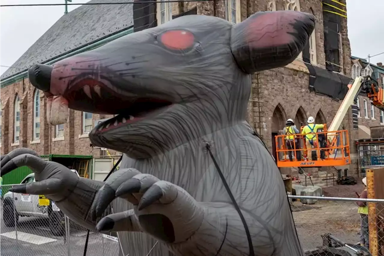 A ‘used’ but ‘perfect’ Scabby the Rat inflatable is for sale in Philly on Facebook Marketplace