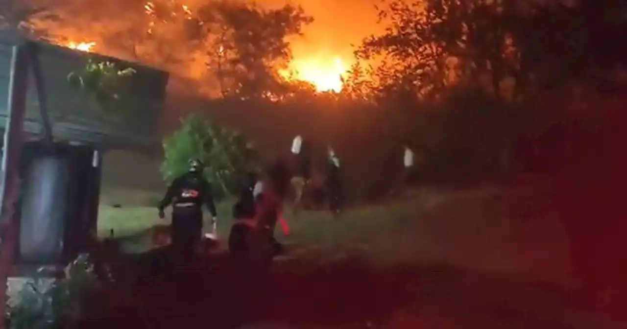 “Quedaron con lo que tenían puesto”: Incendio forestal en Cali incineró vivienda de la zona