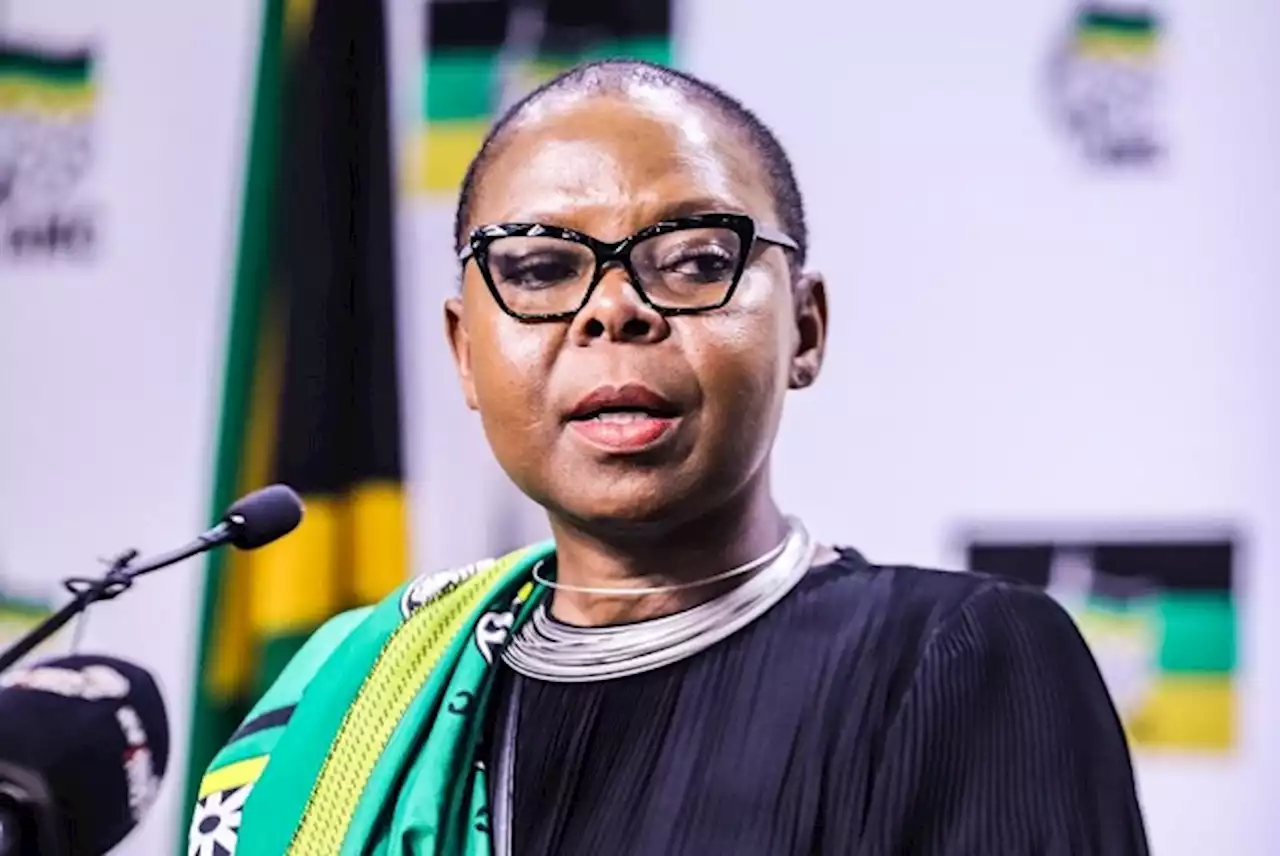 ANC sets up committee to look at government spending