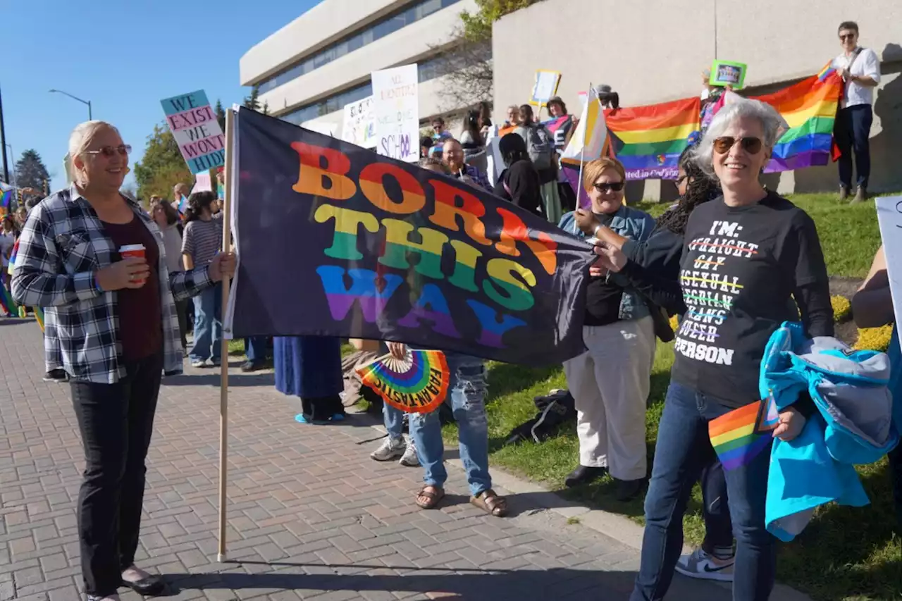 Video: Protesters clash on gender issues in downtown Sudbury