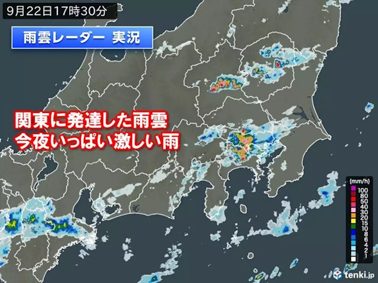 関東に大雨警報 局地的に雨雲発達 今夜にかけて激しい雨の恐れ(気象予報士 日直主任)