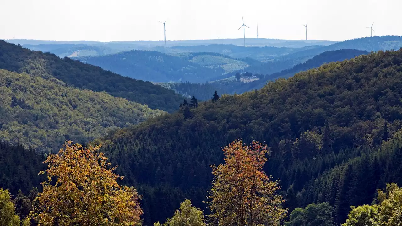 Rothaarkamm als Nationalpark bleibt weiter Option