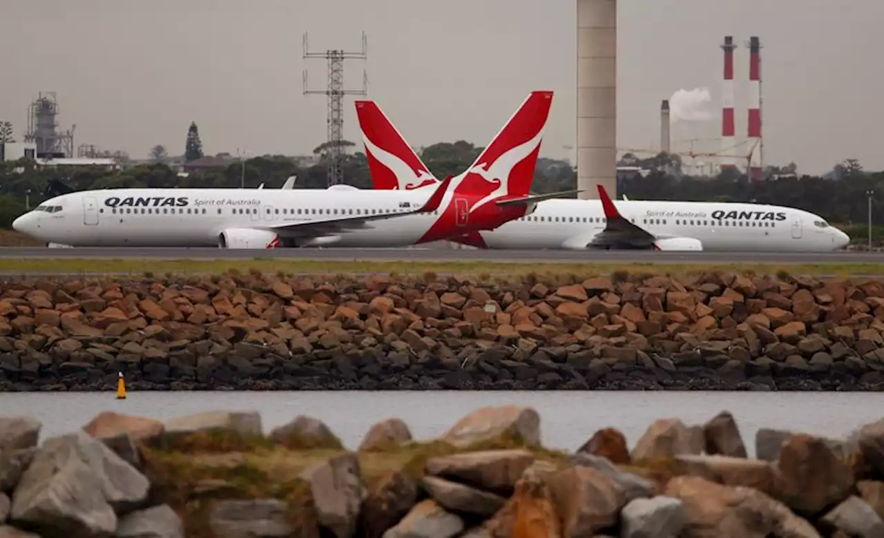 Australia's Rex cuts flights, blames rivals including Qantas of 'pillaging' pilots