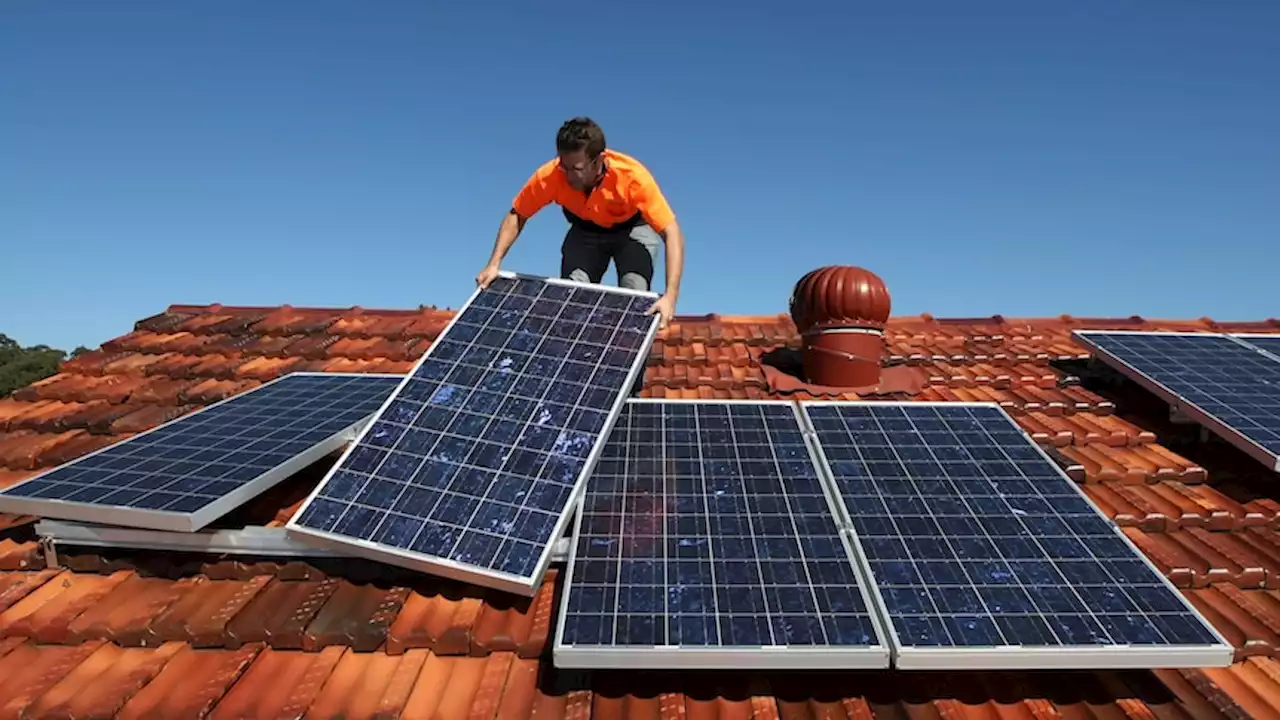 Generators pay to stay on as dominant rooftop solar 'cannibalises' electricity prices