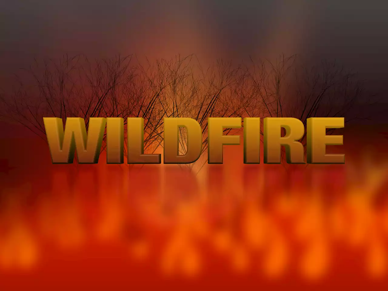 Alabama Forestry Commission issues statewide fire alert