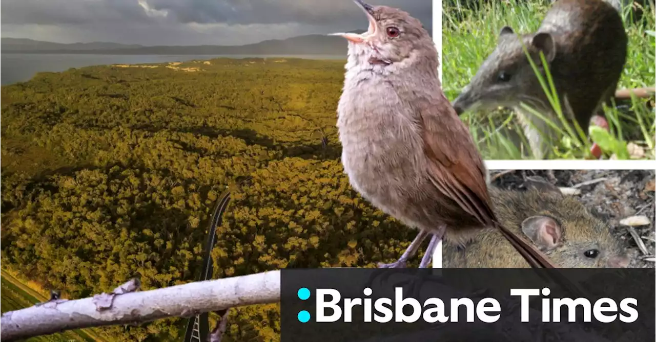 Cool island: Why Wilsons Prom is a perfect climate refuge