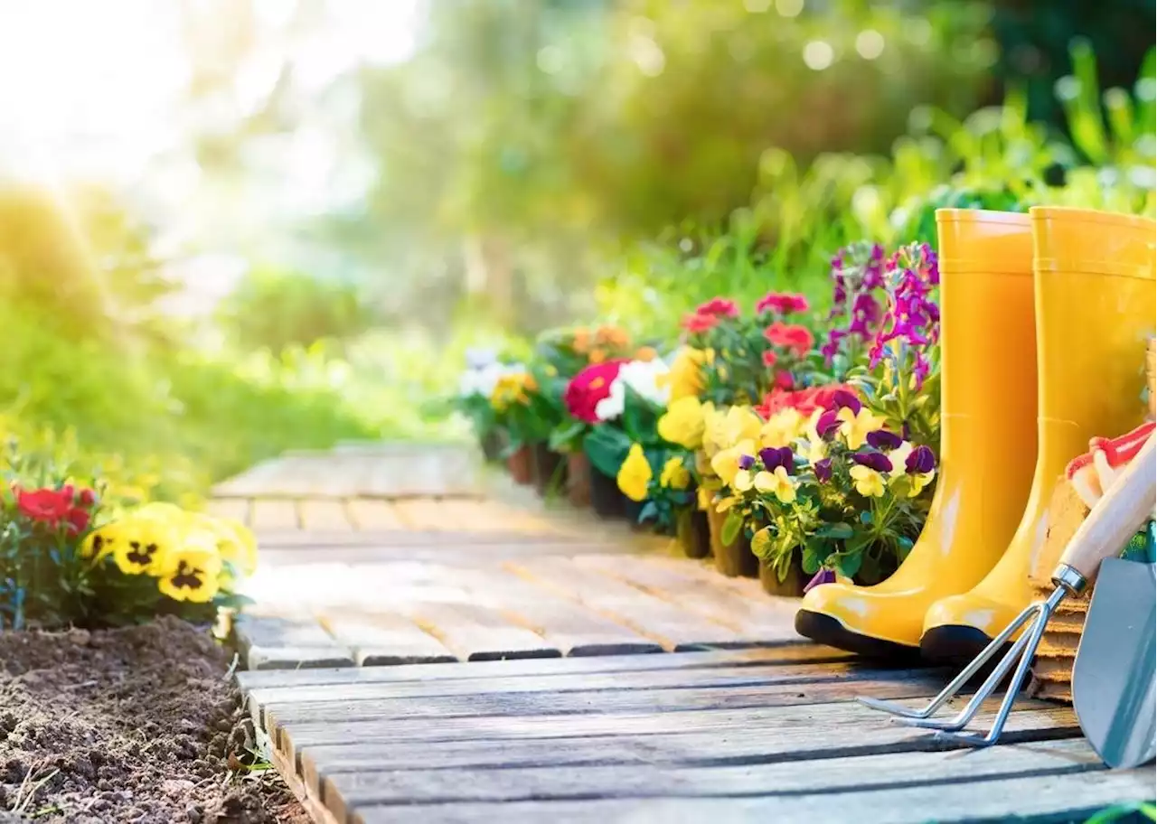 How to prepare your garden for next season