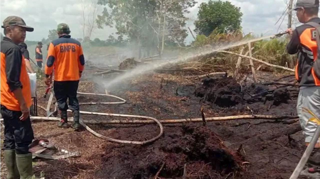 Peneliti BRIN Beri Sinyal El Nino Menguat, 5 Petaka Intai RI