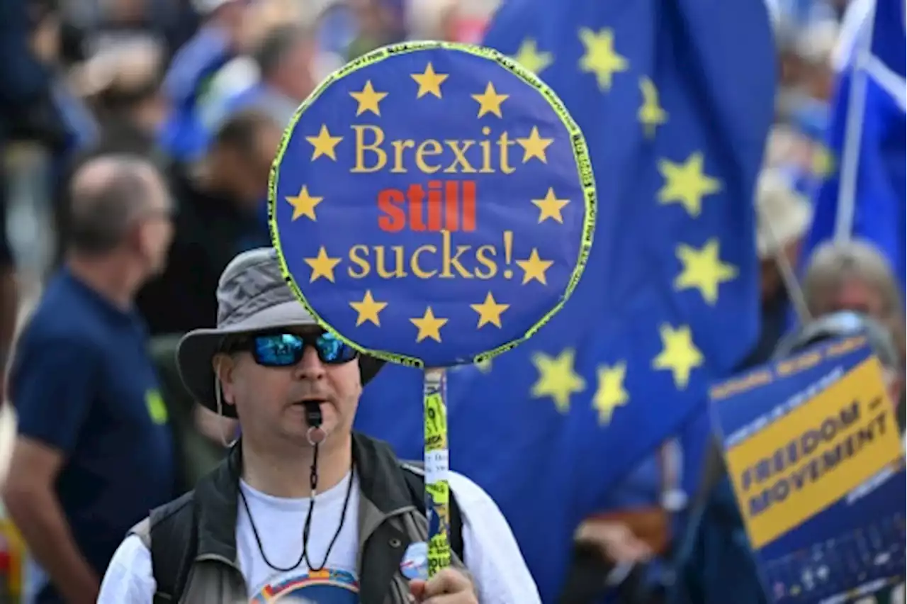 'On veut revenir' clament des manifestants pro-UE \u00e0 Londres