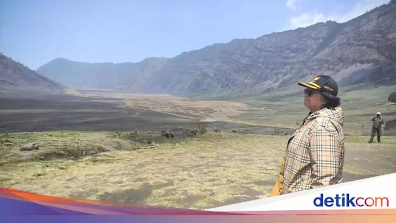 Menteri Siti Nurbaya Pantau Lokasi Kebakaran Bromo Ulah Flare Prewedding