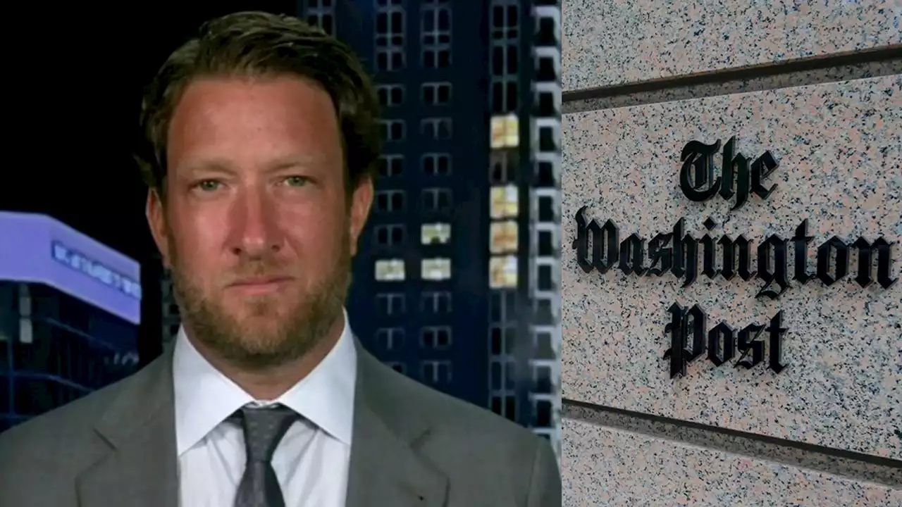 Dave Portnoy torches WaPo for running 'hit piece' after calling out reporter: They were 'caught lying'