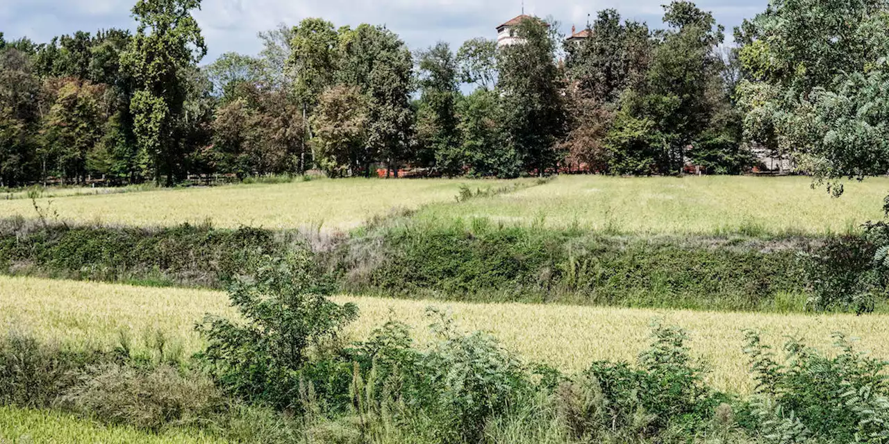 L'acqua del Po va gestita insieme, da Vercelli alla Romagna