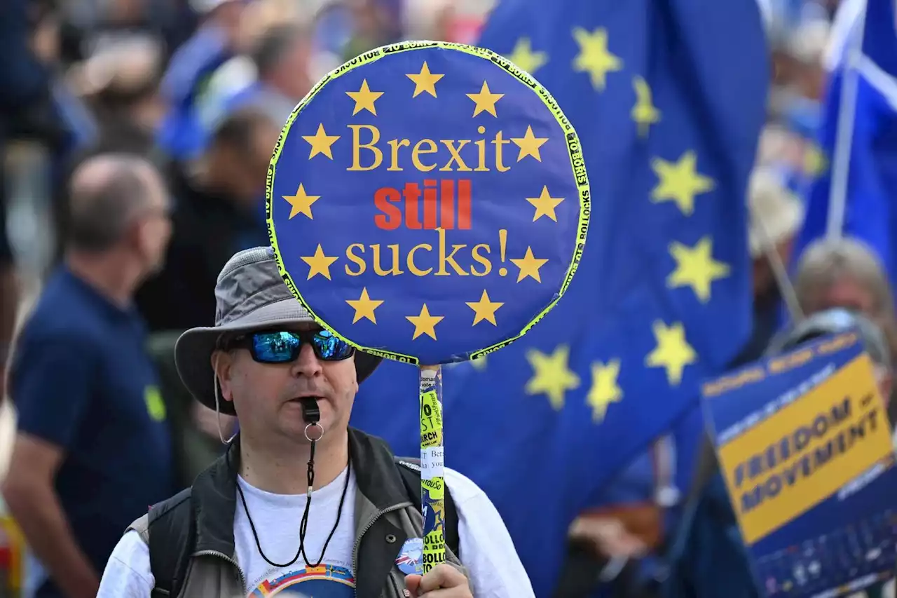 'On veut revenir' clament des manifestants pro-UE à Londres