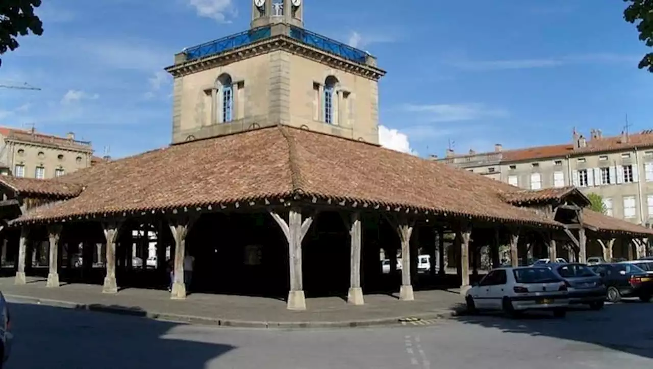 En Haute-Garonne, le financement participatif au secours d'un 'joyau du patrimoine médiéval'