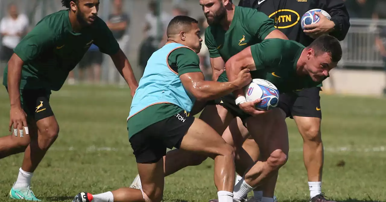 Coupe du monde de rugby : l’Afrique du Sud et l’Irlande, deux équipes de chocs