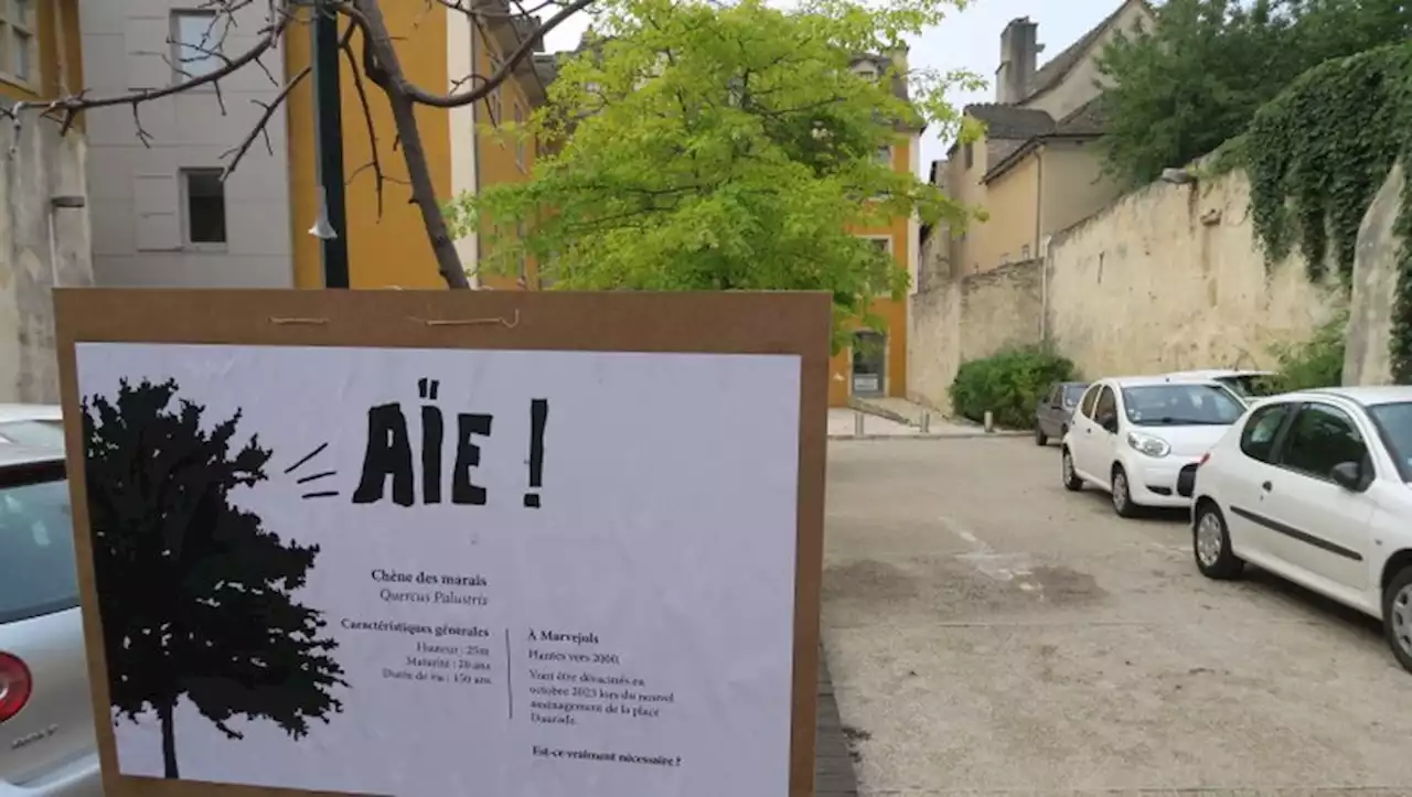 Lozère : un collectif d'amoureux de la nature veut sauver les arbres de Marvejols