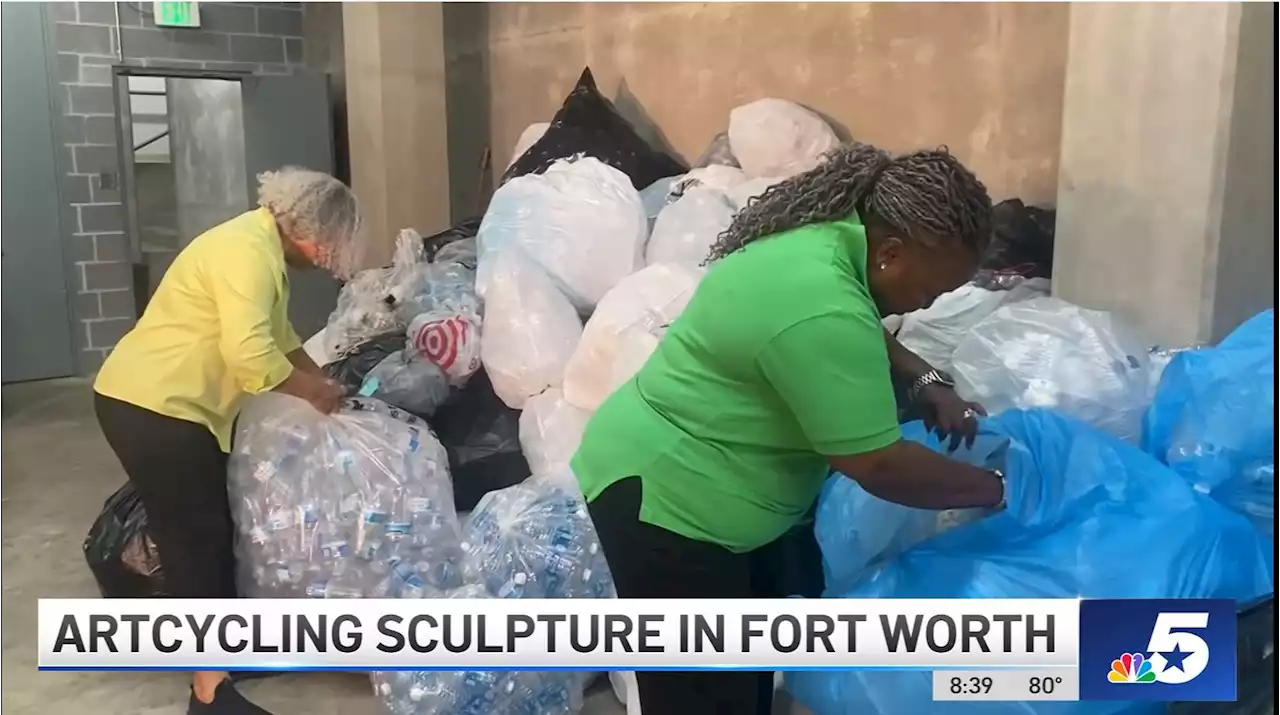 20k plastic water bottles needed for massive sculpture