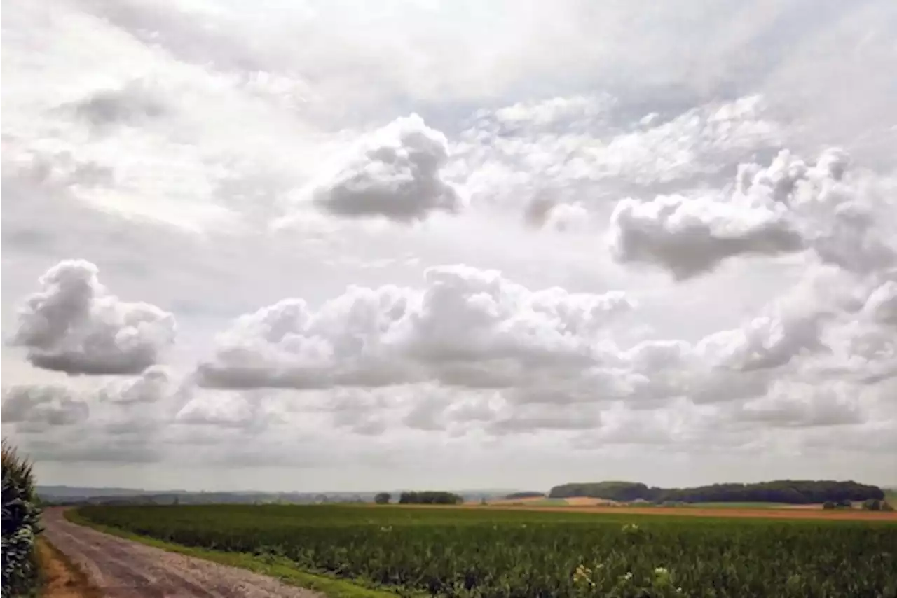 Vandaag bewolkt en plaatselijke buien, maar vanaf morgen schijnt overal de zon