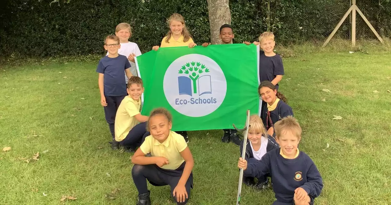 School earns Green Flag award for work to protect the planet