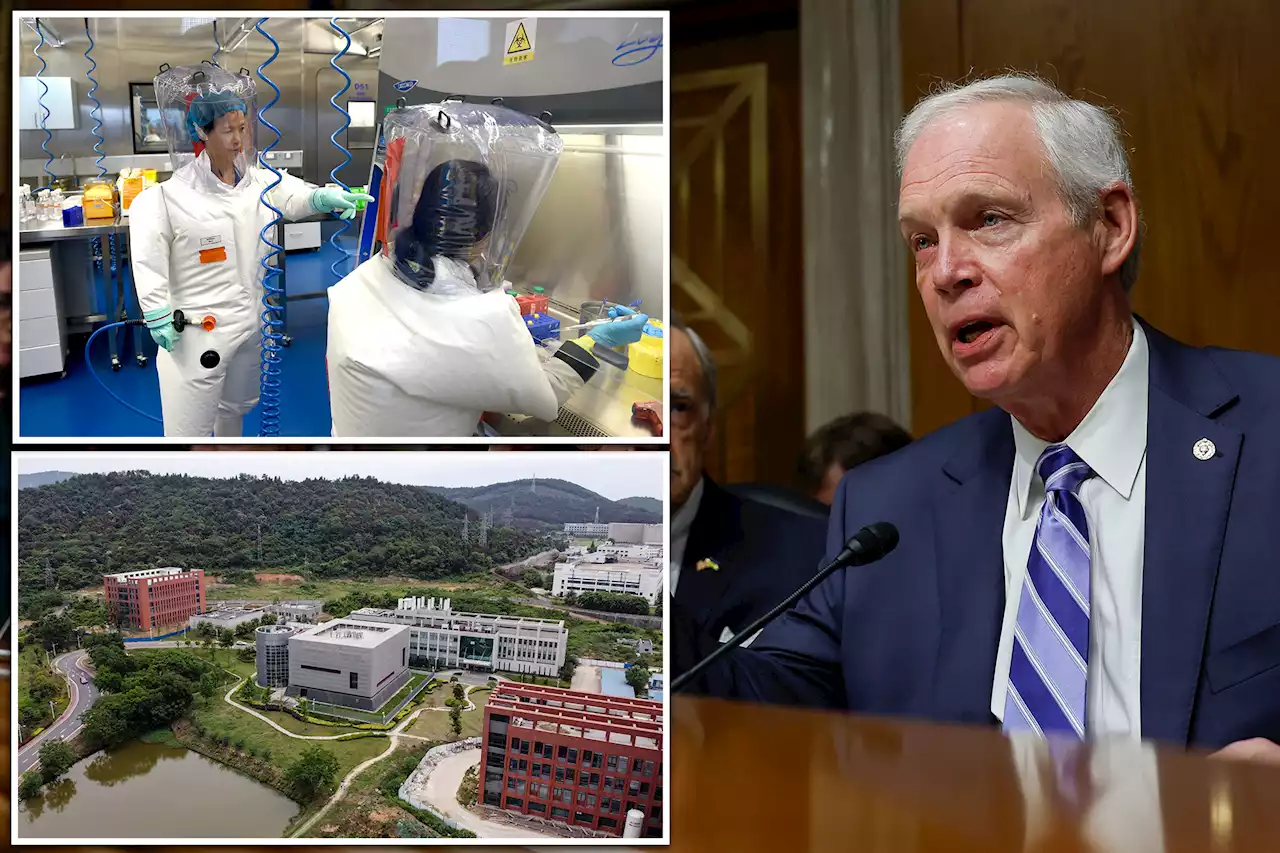 NIH doctor sounded alarms about Wuhan lab safety in 2017, report shows