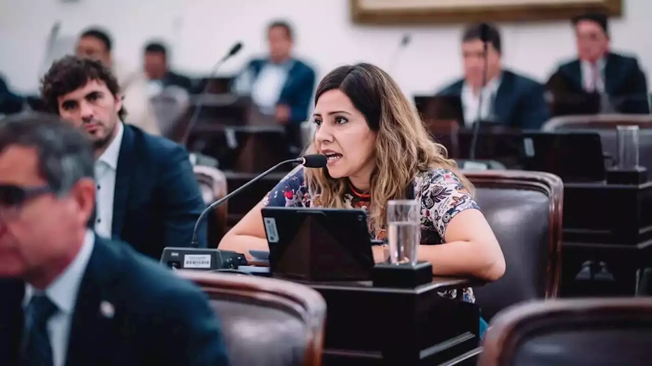 La diputada Lourdes Ortiz denunció sexismo por parte de Martín Menem | Mansplaining en la legislatura riojana