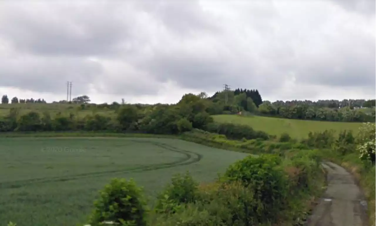 Cyclist killed by falling tree on rural country road