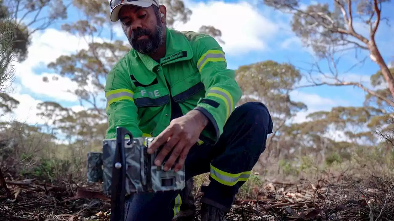 'It doesn't stop him': Born deaf, Indigenous ranger James Tucker inspires colleagues