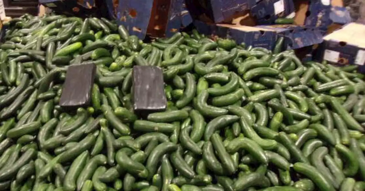 Customs and Border officers find 400 pounds of cocaine hidden among cucumbers at Otay Mesa crossing