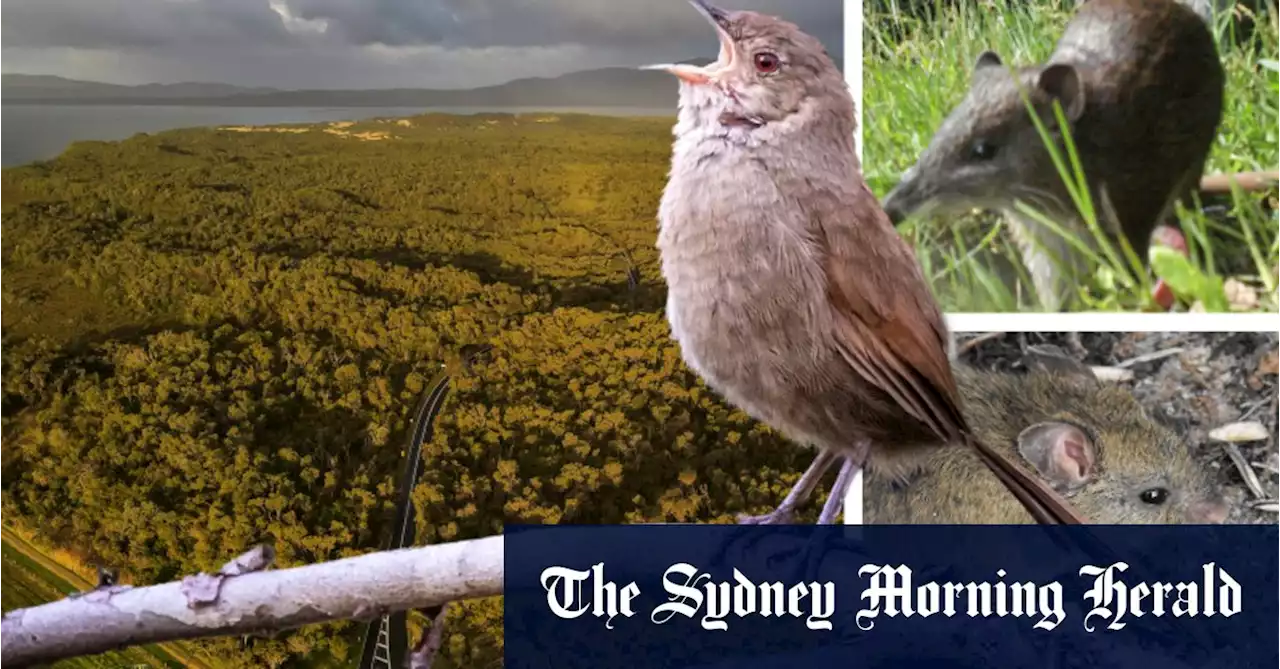Cool island: Why Wilsons Prom is a perfect climate refuge