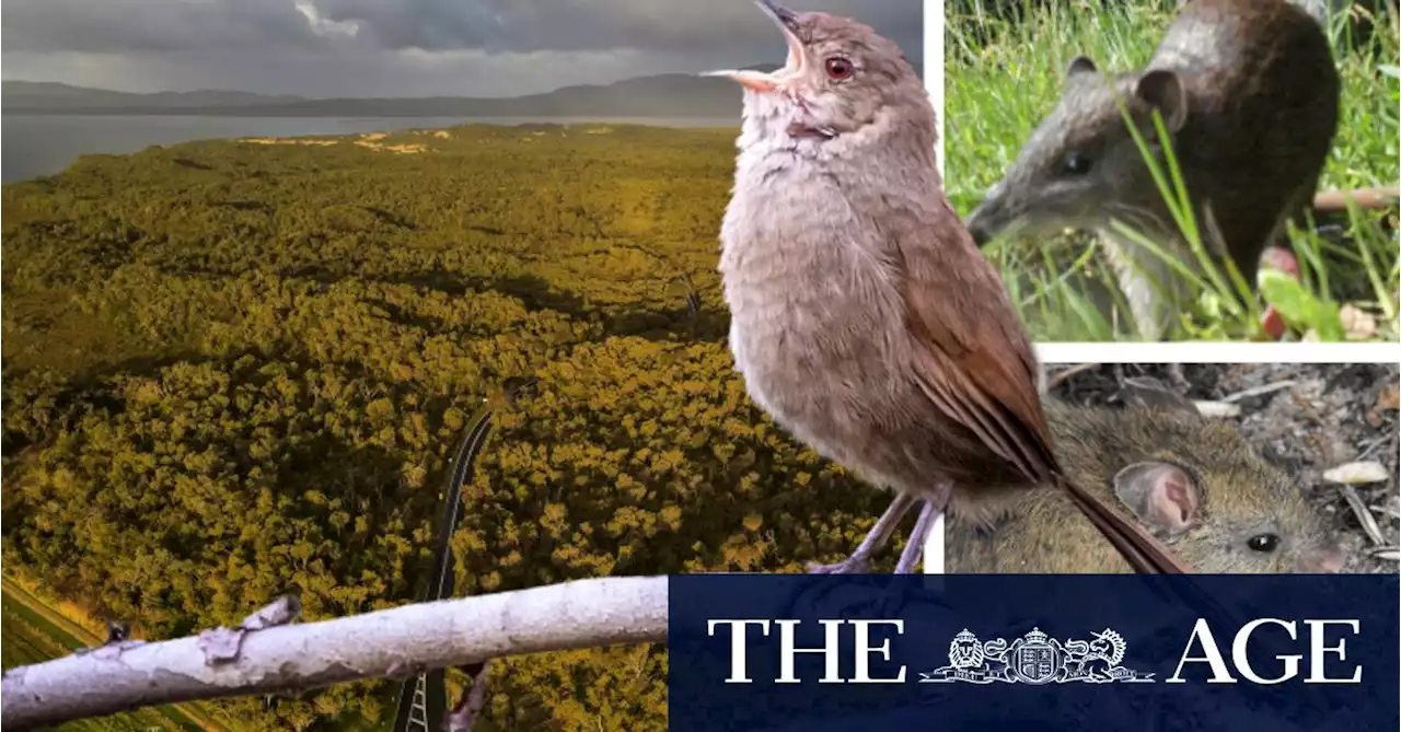 Cool island: Why Wilsons Prom is a perfect climate refuge