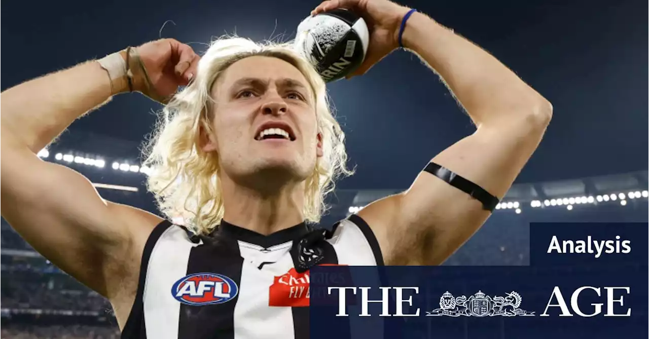 The history, tactics and an early tip: How the Magpies v Lions grand final shapes up