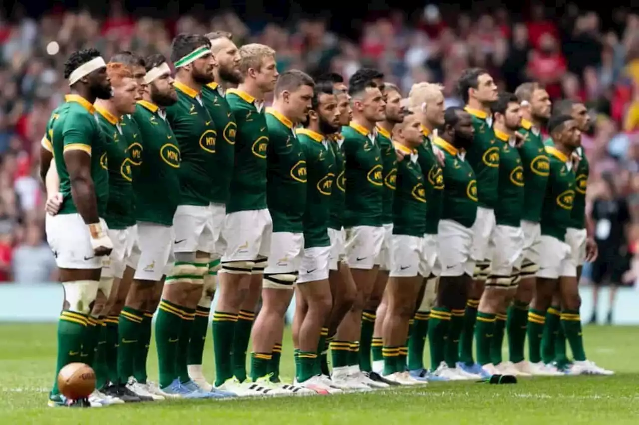 Unity through sport: Springboks are more than just a team in 2023