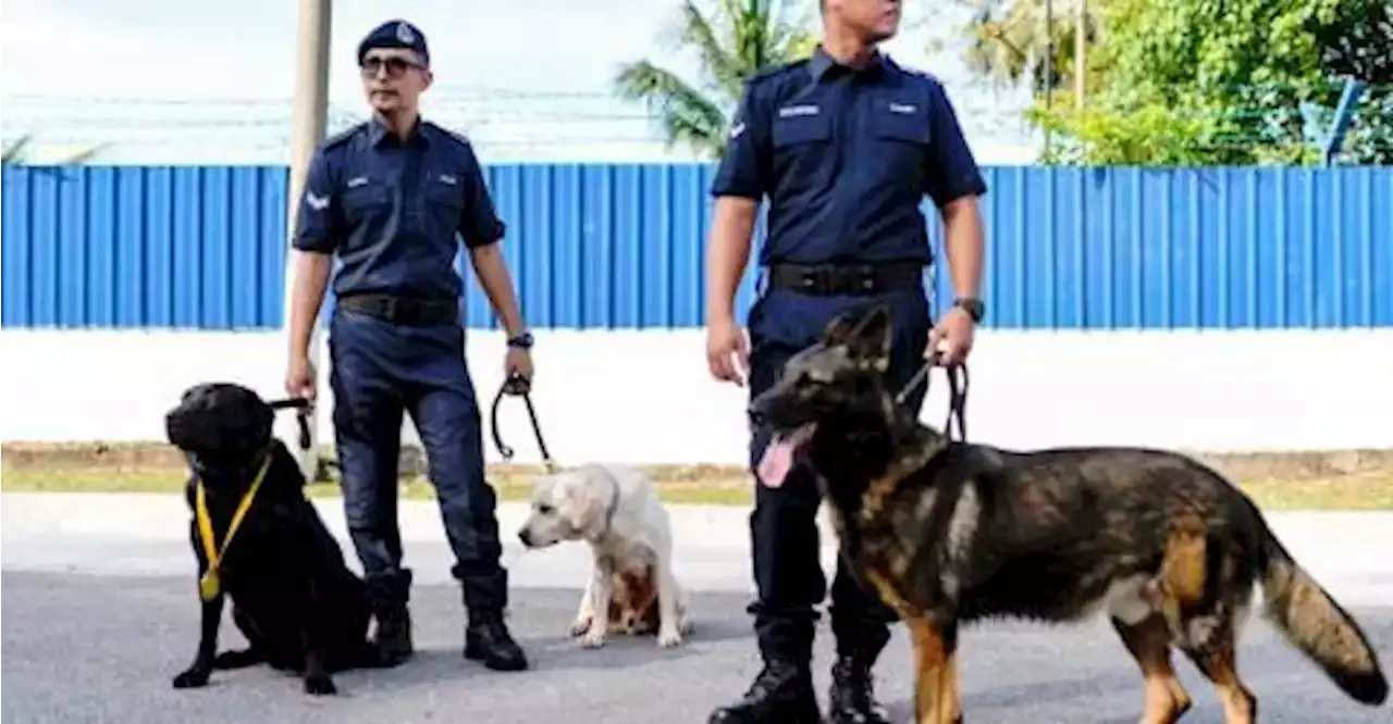 Polis Buru Dua Suspek Kes Bunuh Tiga Warga Sri Lanka Di Sentul