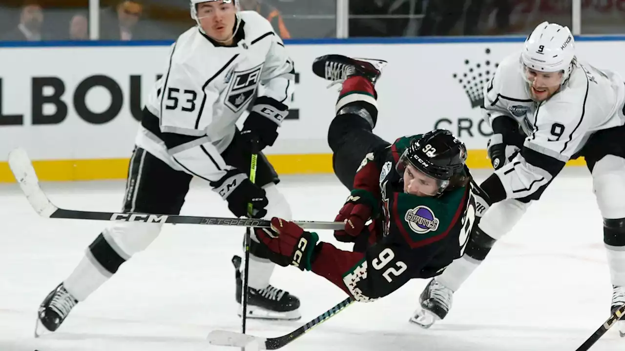 Must See: Logan Cooley spins and scores a beauty while falling for Coyotes