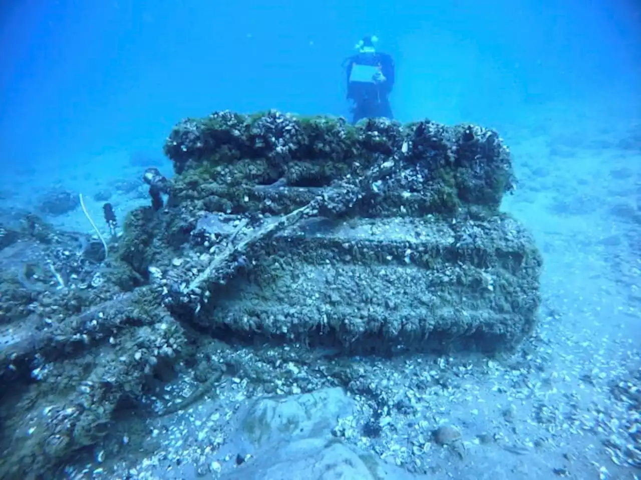 Historians race to find Great Lakes shipwrecks before quagga mussels destroy the sites