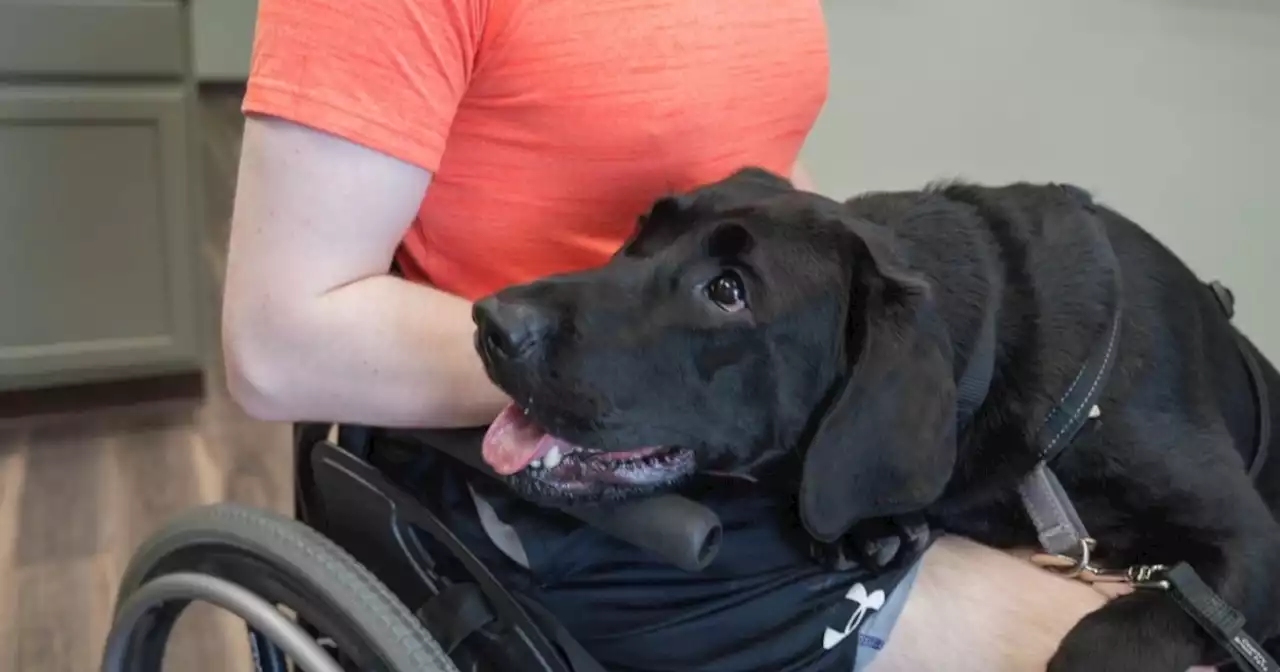 Service dogs help Hoosiers unleash their own independence