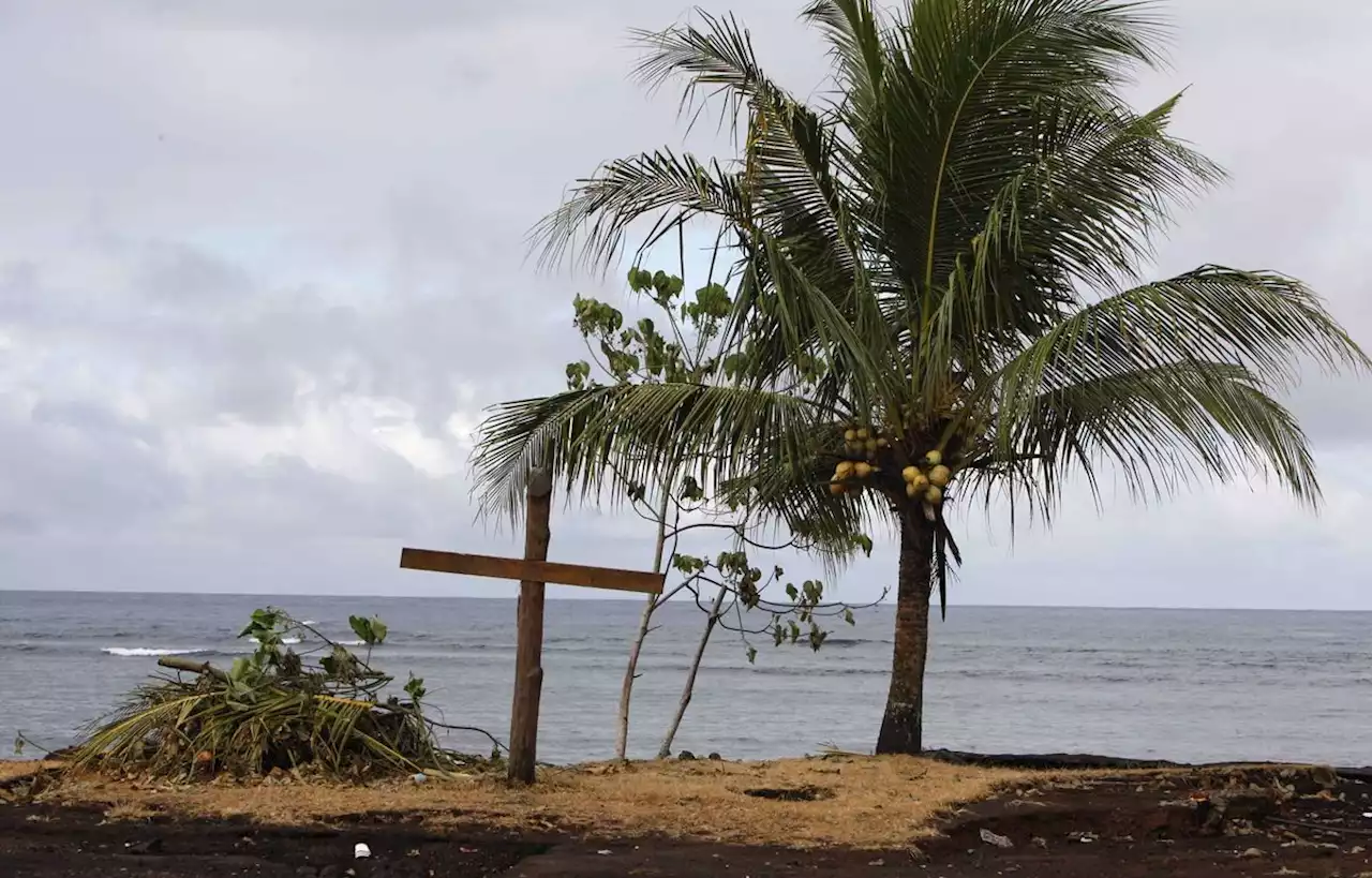 Loin du rugby, le désespoir des îles pacifiques face à l’urgence climatique