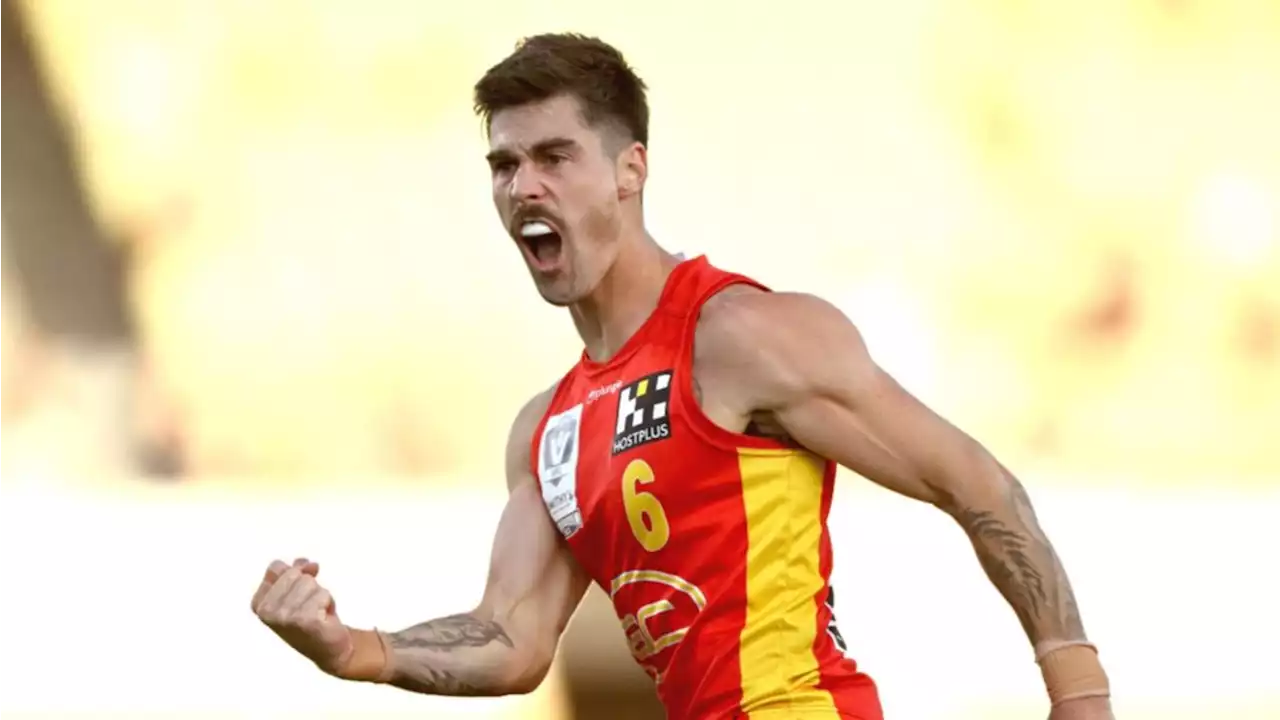 Long-time veterans lead Gold Coast Suns to historic first premiership