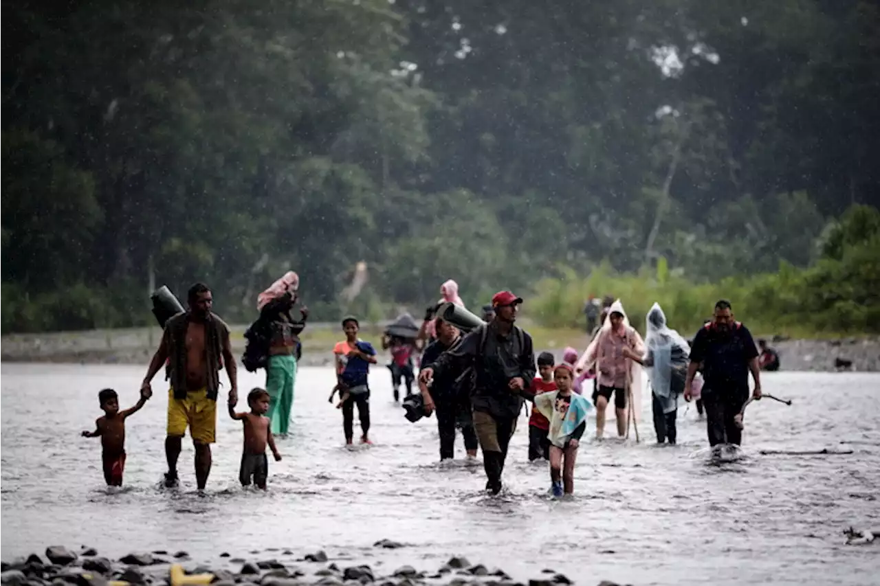 Record di migranti nel Darien verso gli Usa, 350mila in 8 mesi - America Latina