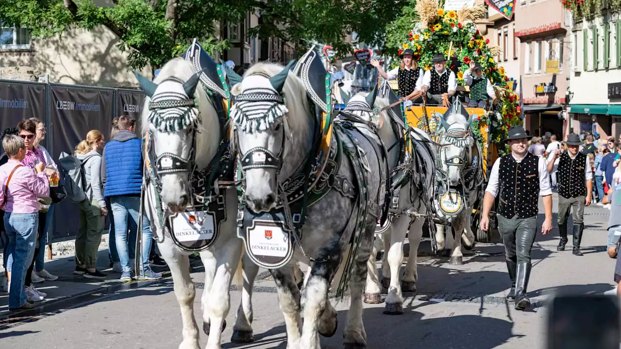 Wasen 2023: War das der letzte Volksfestumzug in Stuttgart?