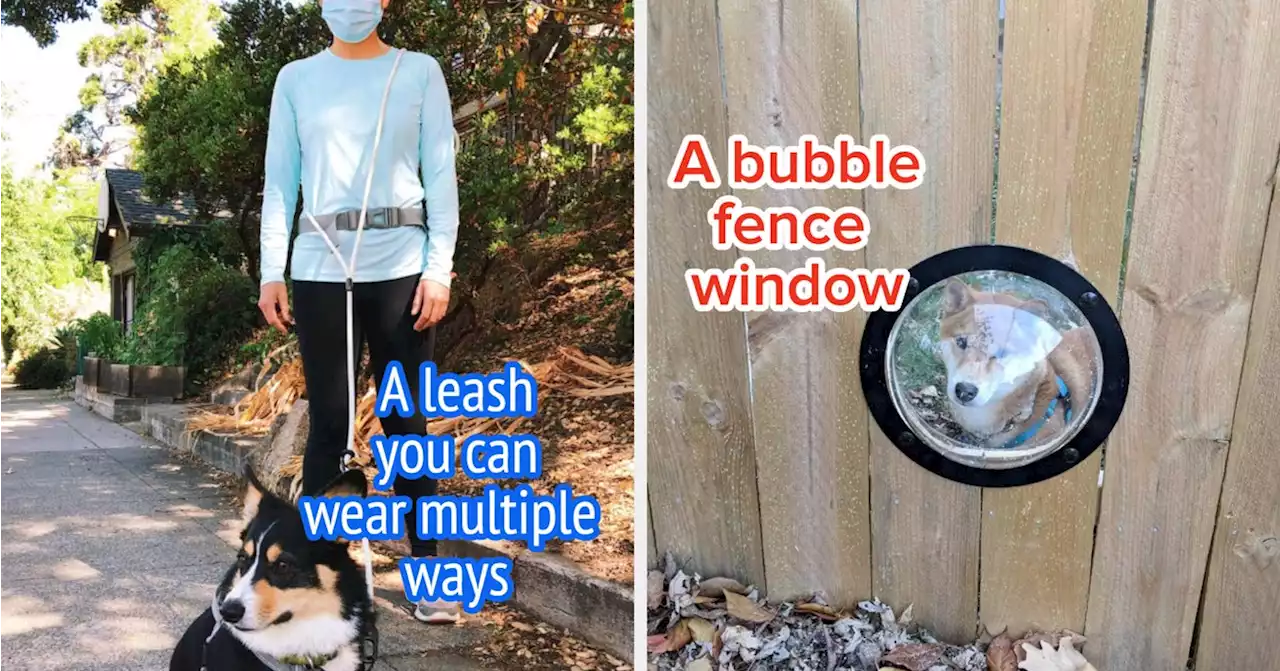 33 Cool Products For Your Dog You Probably Haven't Seen Before