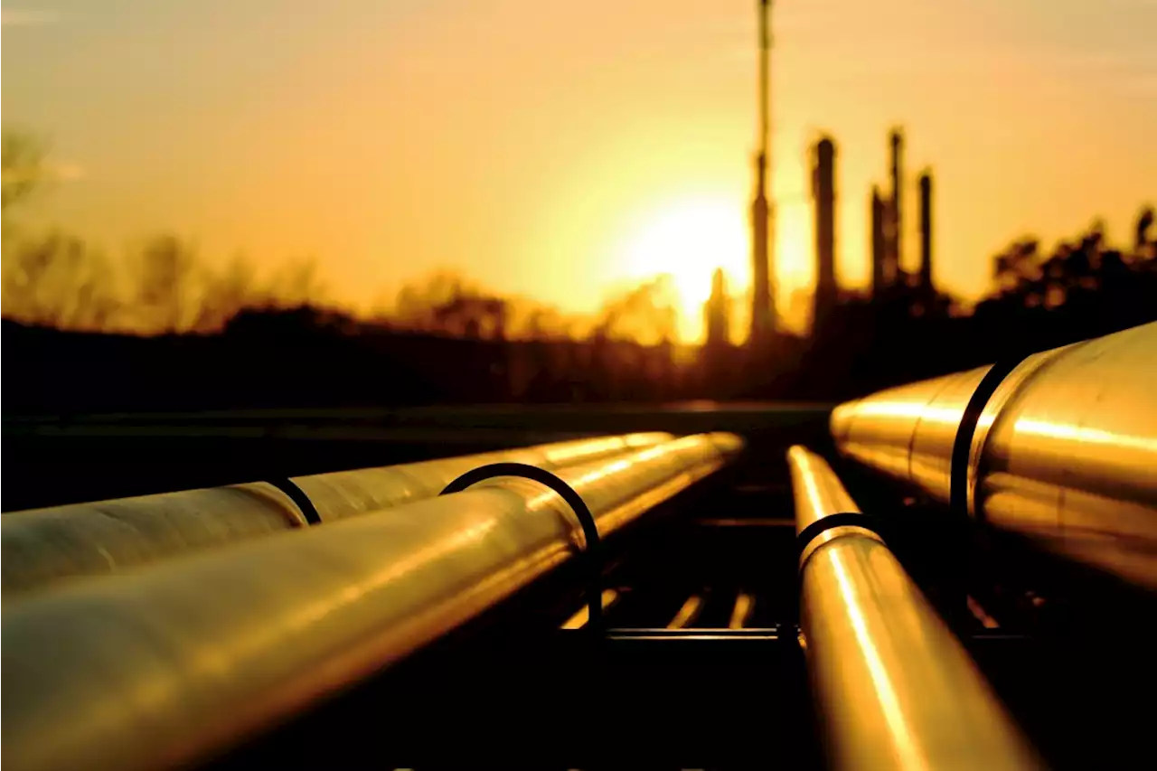 Eastern Cape businessperson inks R74billion Mozambique pipeline deal