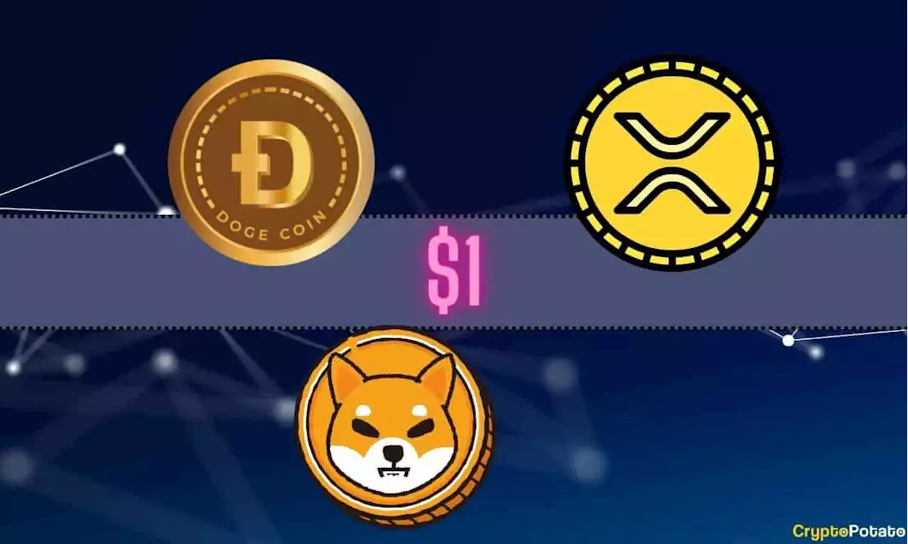 Which Cryptocurrency Will Reach $1 First: Ripple (XRP), Shiba Inu (SHIB), or Dogecoin (DOGE)?