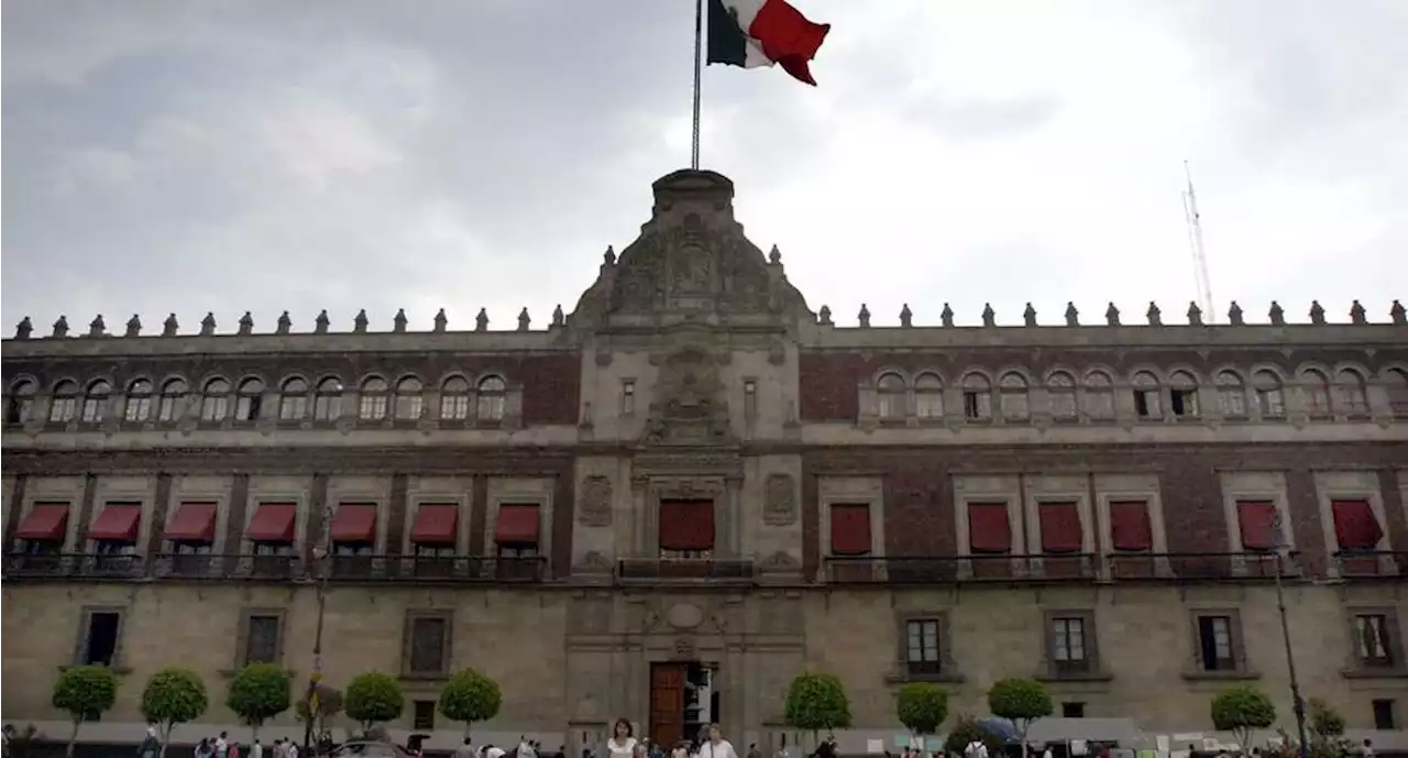 Presidencia entrega contrato para fumigar Palacio Nacional de ratas y ratones