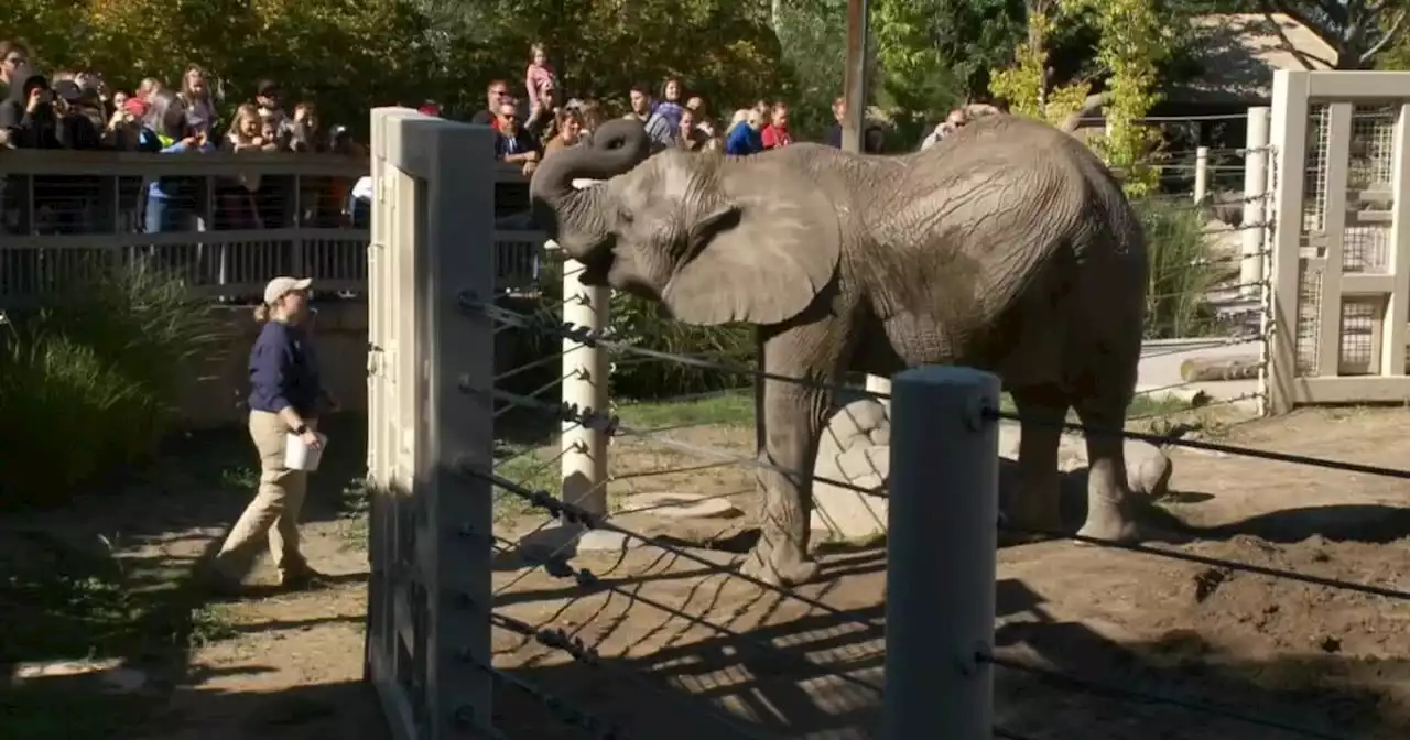 Utah's Hogle Zoo says farewell to mother-daughter elephant duo