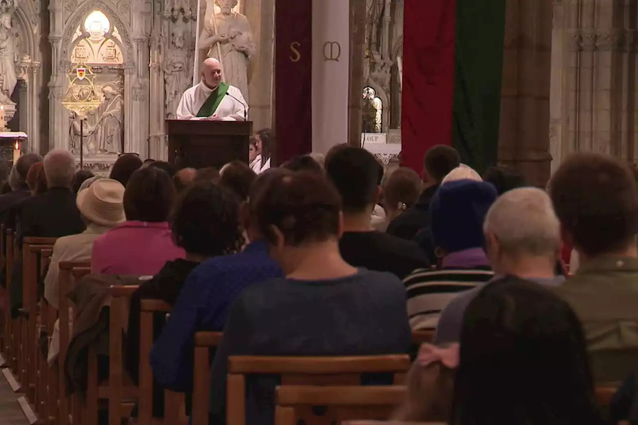 Discours du pape sur l'immigration. 'Ce ne sont pas des migrants, ce sont des êtres humains' : les réactions à Limoges