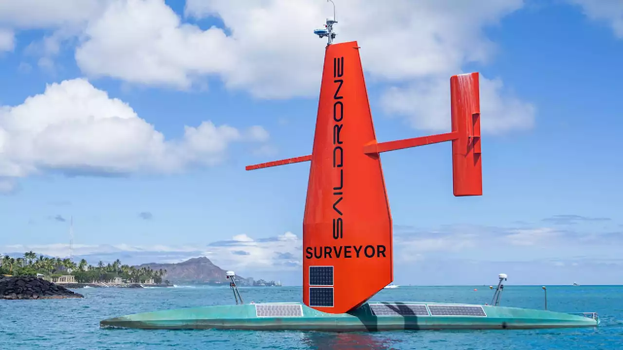 Autonomous sailing drones deployed to protect marine life