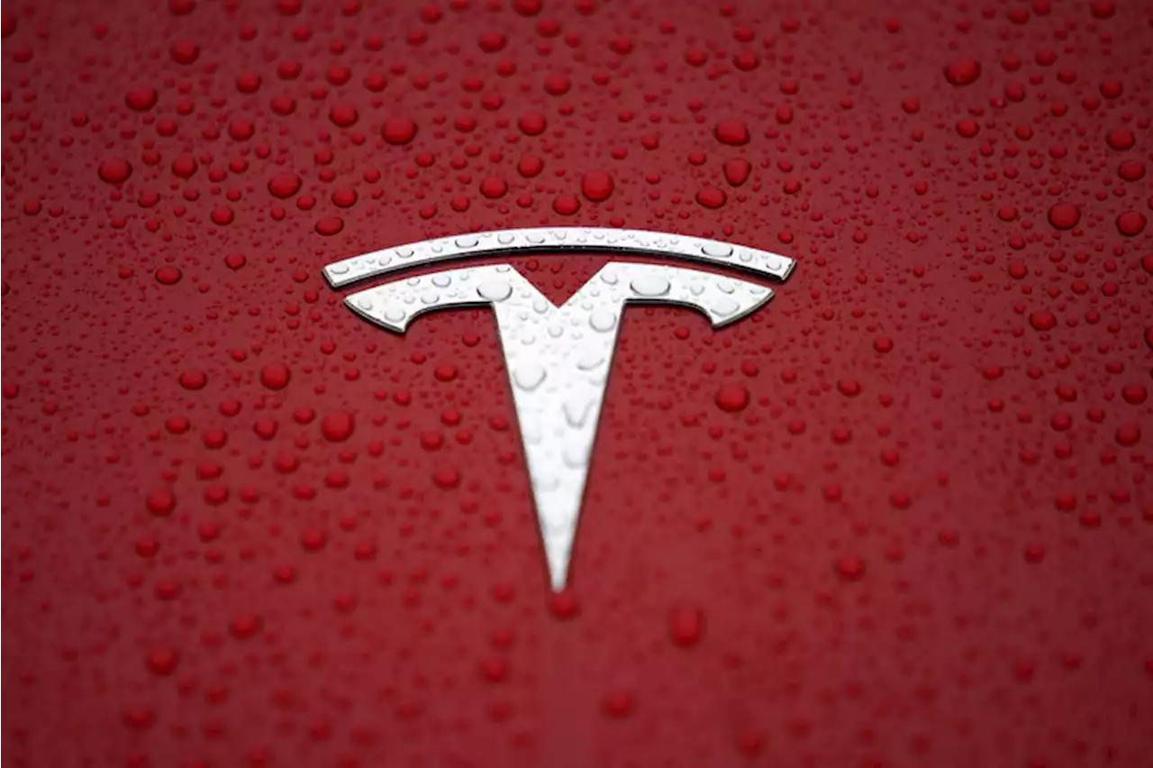 Tesla's Saudi Arabia expansion rumors dispelled by Musk: This week in EVs By Investing.com