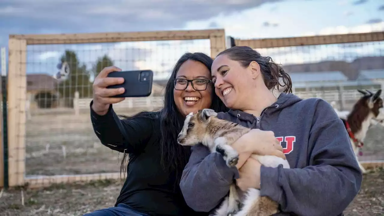 'Happy chaos': Hurricane farm offers goat yoga