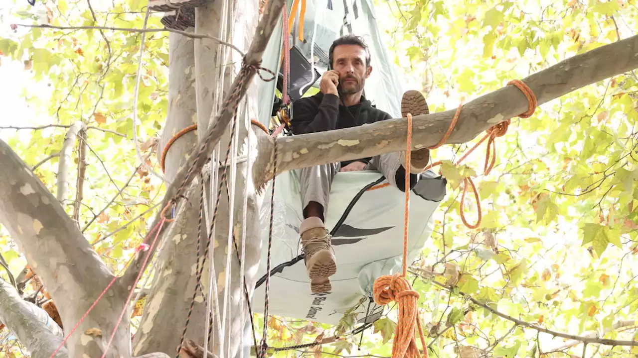 A69 : le militant écologiste Thomas Brail délogé de l’arbre qu’il occupait par les forces de l’ordre